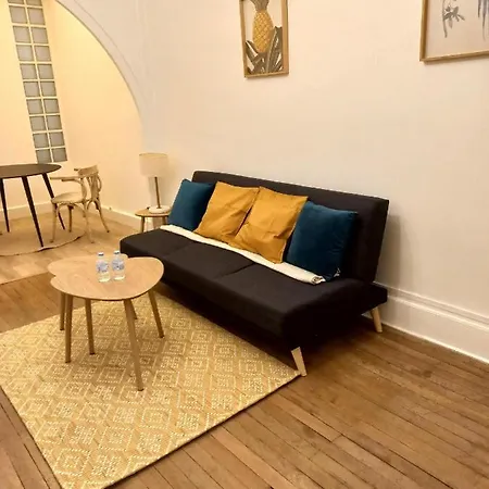Appartement 2 pieces Quartier Gerland *